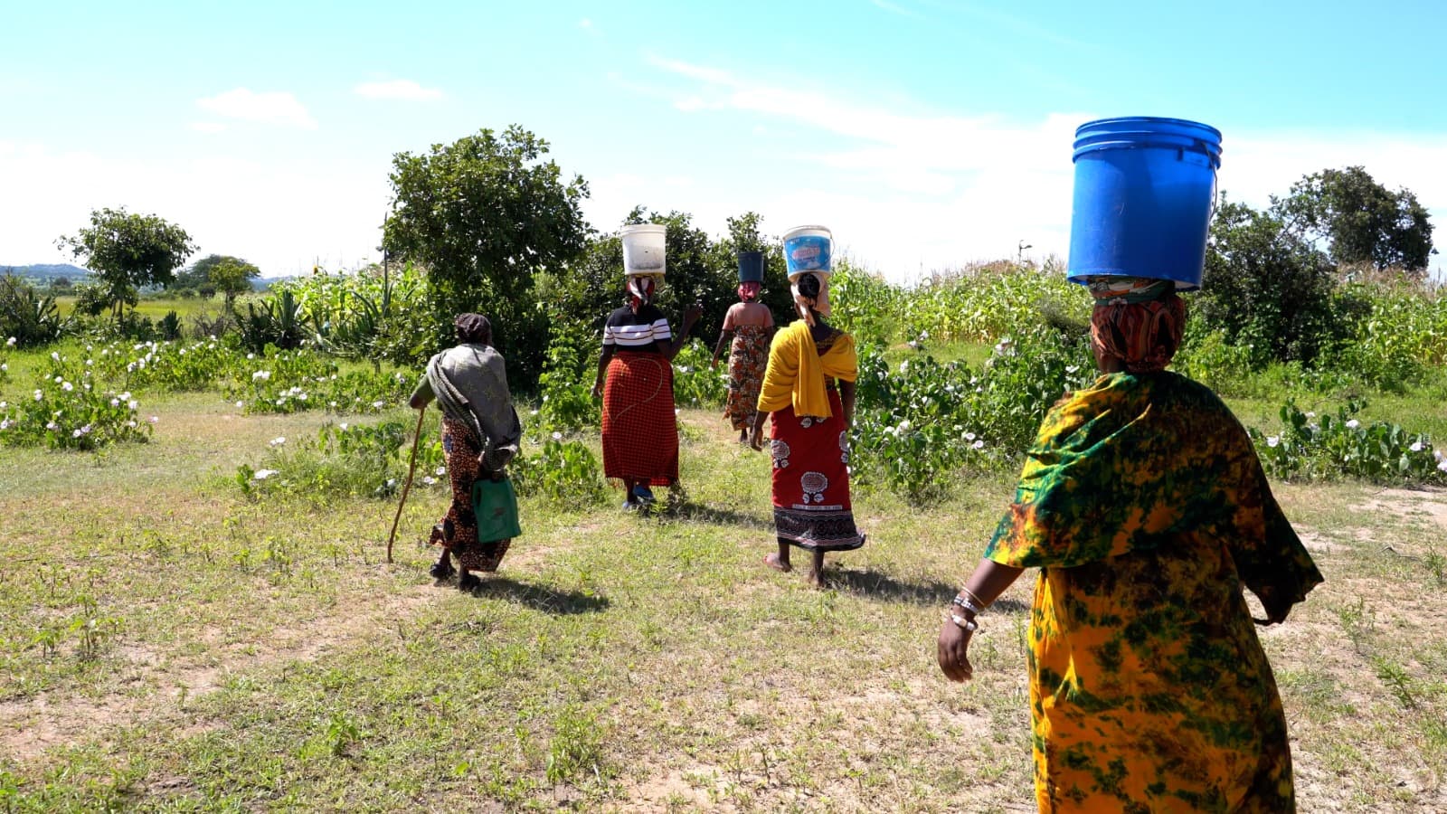 Women of the Well
